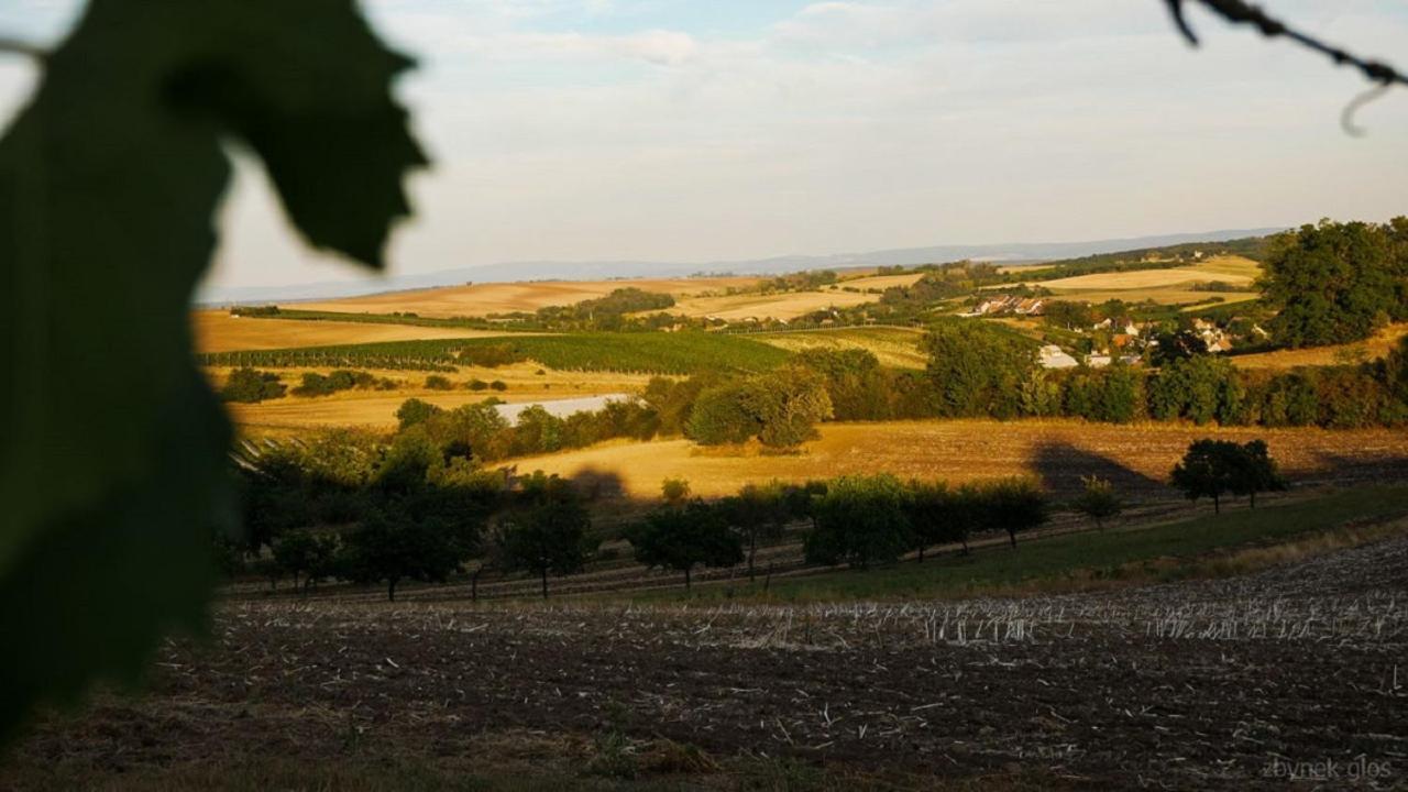 Ubytovani V Hovoranech Hovorany Bagian luar foto
