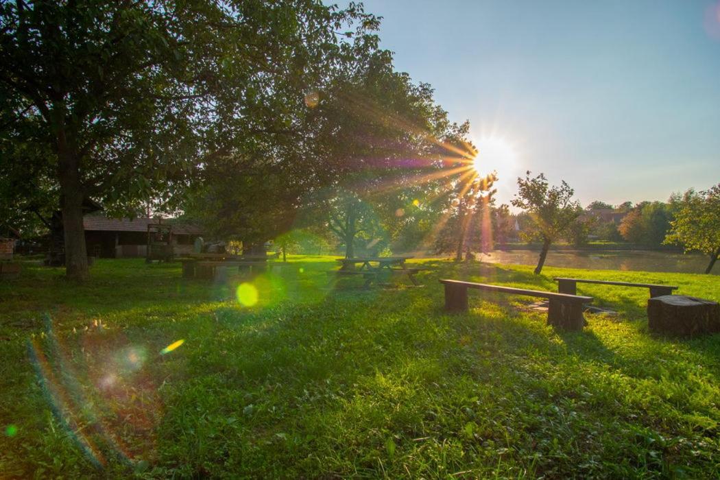 Ubytovani V Hovoranech Hovorany Bagian luar foto